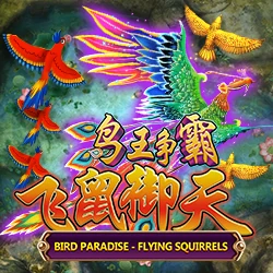 Bird Paradise
